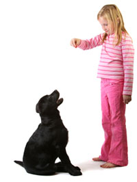 Dog sitting for treat