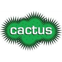 Cactus TV